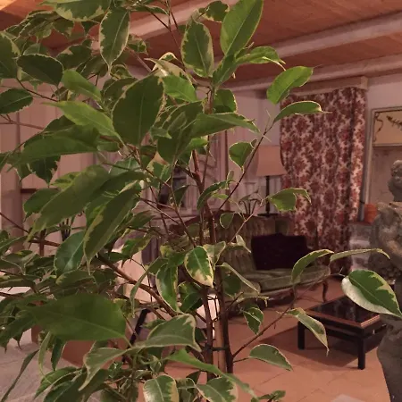 Cascina La Castagnara Bed & Breakfast